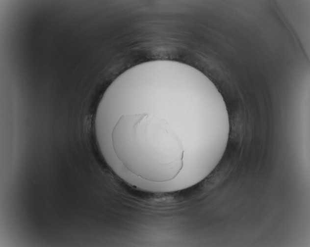 X0000089970278200706291110