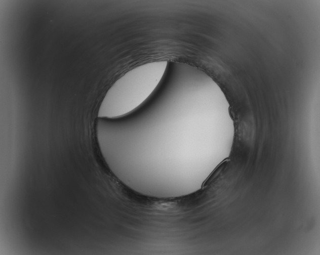 X0000089970283200706291110