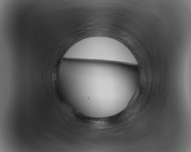 X0000089970284200706291110
