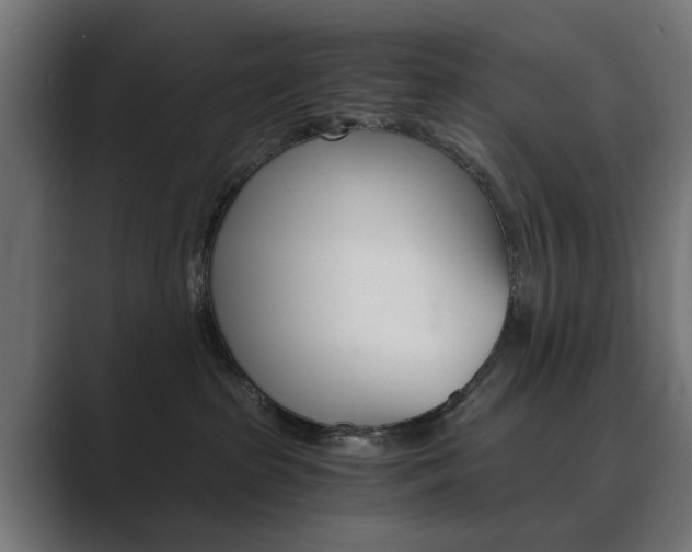 X0000089970285200706291110