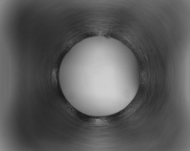 X0000089970286200706291110