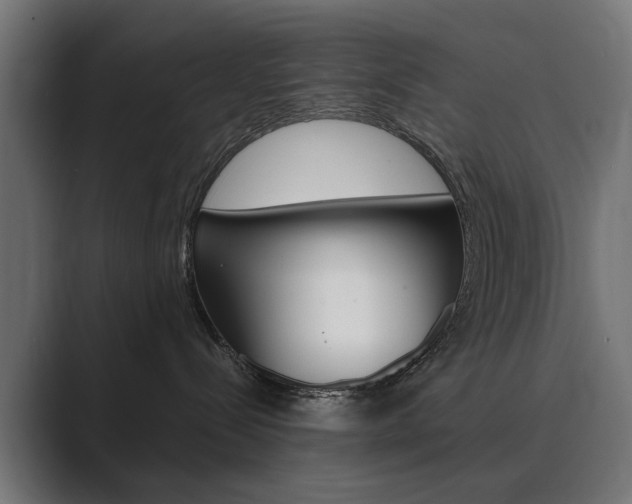 X0000089970288200706291110