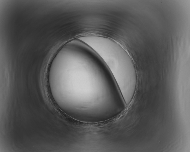 X0000089970289200706291109