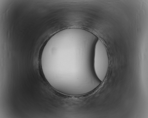 X0000089970290200706291109