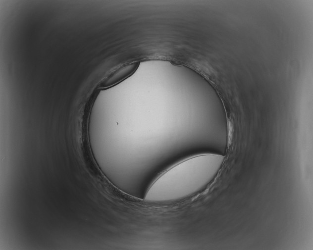 X0000089970291200706291109