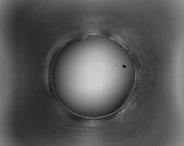 X0000089970293200706291109