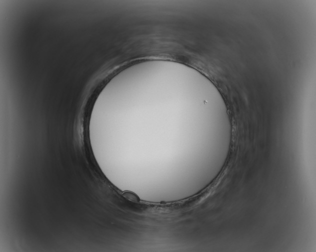 X0000089970294200706291109