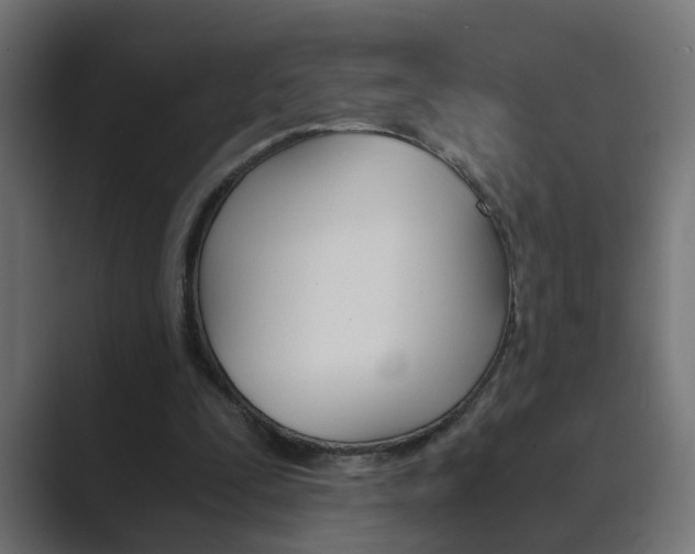 X0000089970295200706291109
