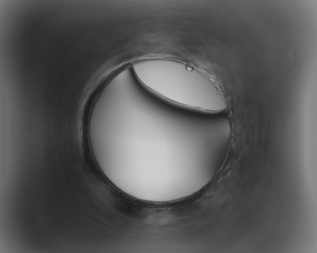 X0000089970296200706291109