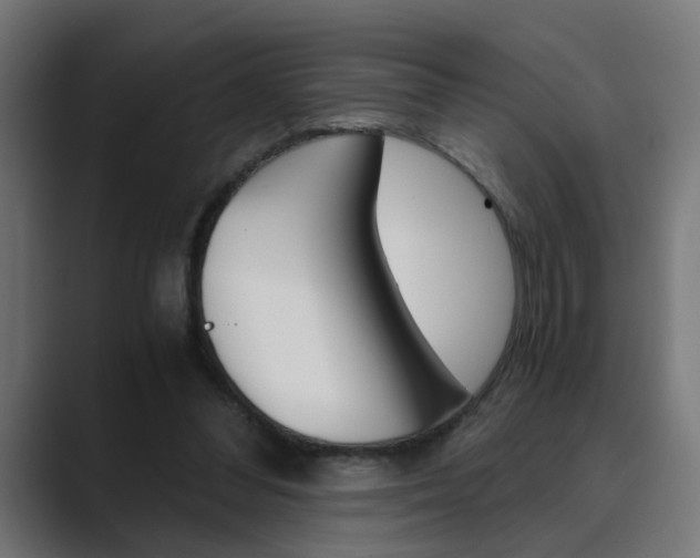 X0000089970300200706291109