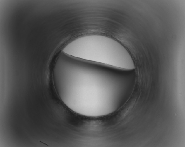 X0000089970304200706291109