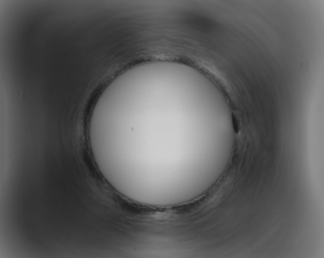 X0000089970306200706291109