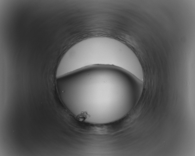 X0000089970317200706291109