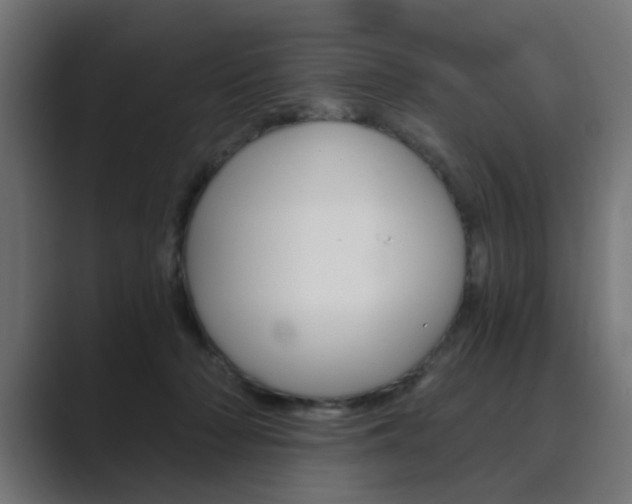 X0000089970318200706291109