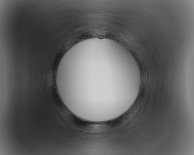X0000089970323200706291109