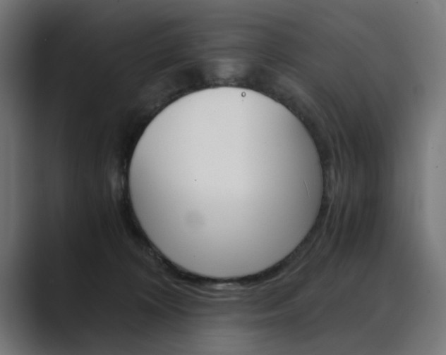 X0000089970324200706291109