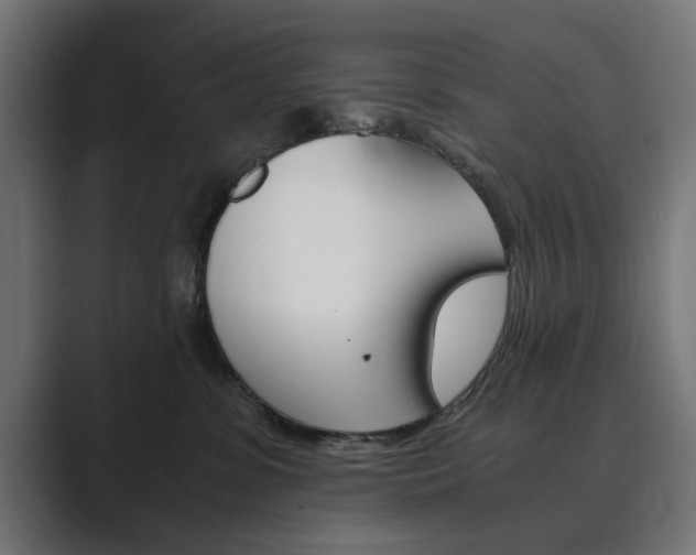 X0000089970331200706291109