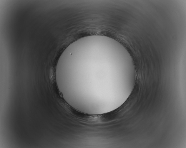 X0000089970335200706291109