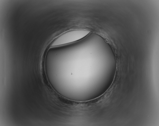 X0000089970340200706291108