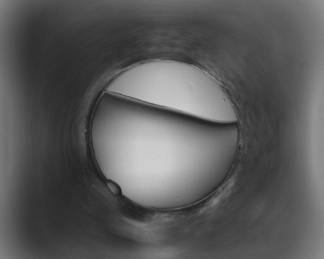 X0000089970341200706291108