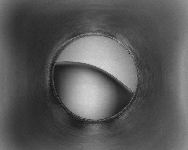 X0000089970344200706291108