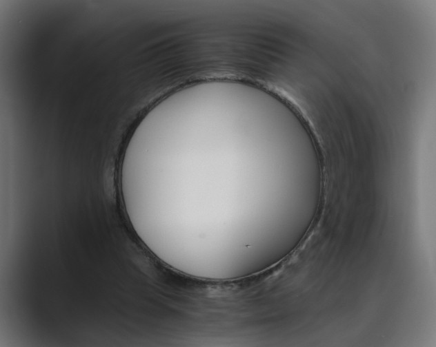 X0000089970345200706291108