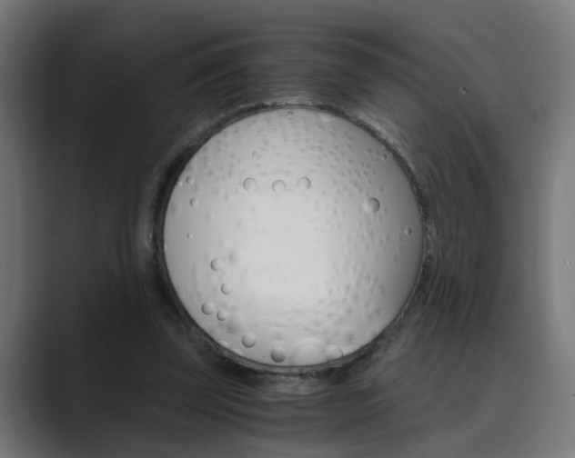 X0000089970347200706291108
