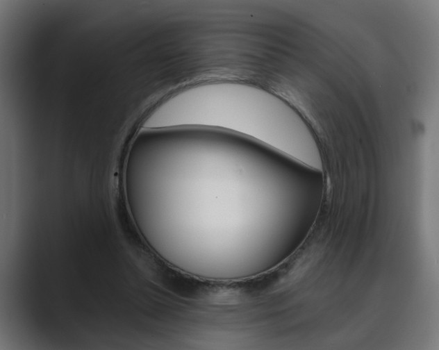 X0000089970348200706291108