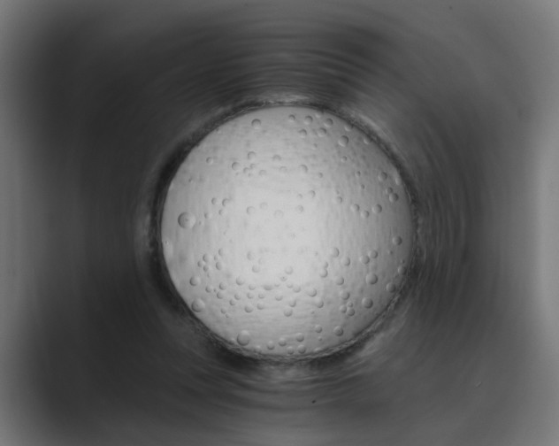 X0000089970351200706291108
