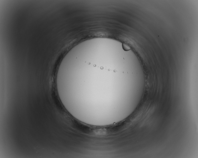 X0000089970355200706291108