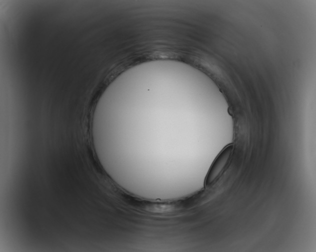 X0000089970361200706291108