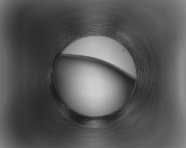 X0000089970364200706291109