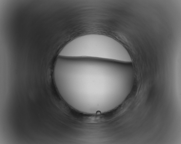X0000089970366200706291109