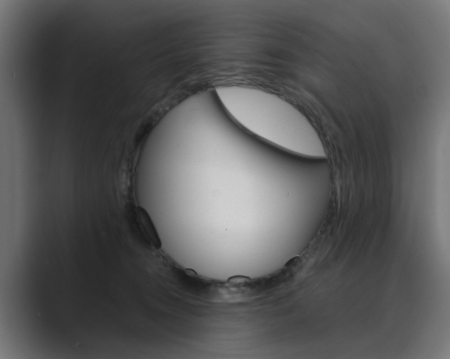 X0000089970372200706291109