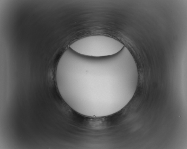 X0000089970373200706291109
