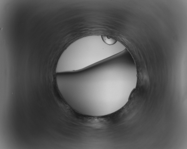 X0000089970379200706291109