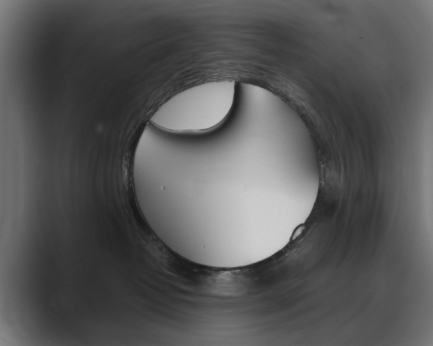 X0000089970382200706291109
