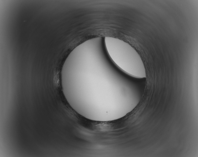 X0000089970383200706291109