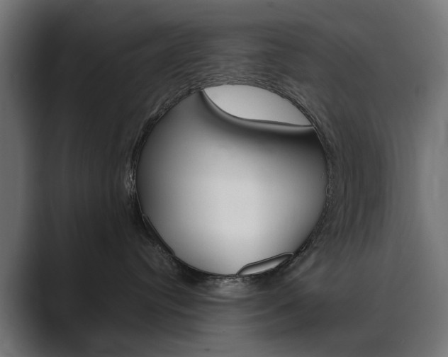 X0000089970384200706291109