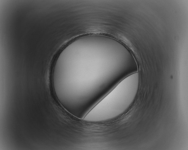 X0000089970387200706291108