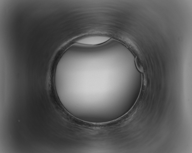 X0000089970388200706291108