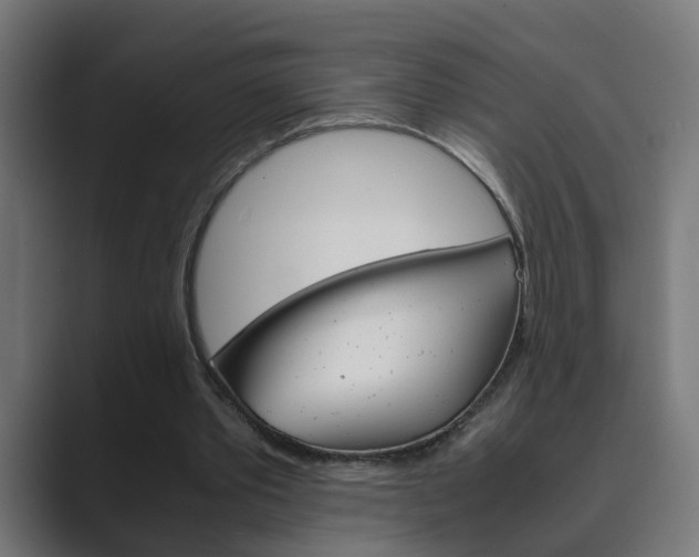 X0000089970389200706291108