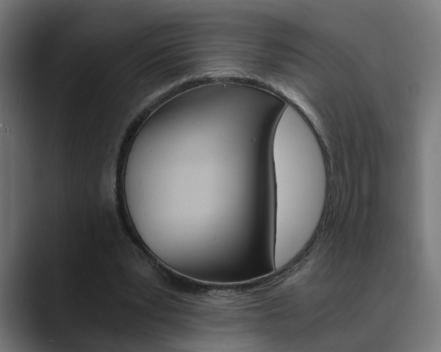 X0000089970391200706291108