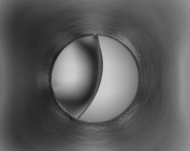 X0000089970393200706291108