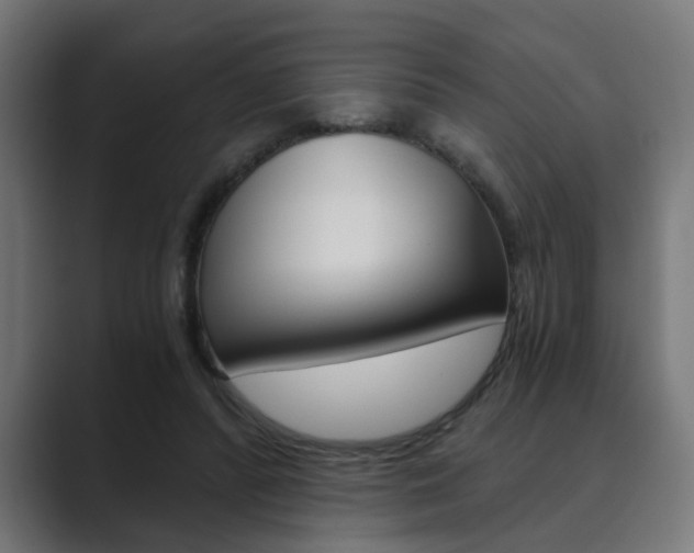 X0000089970400200706291108