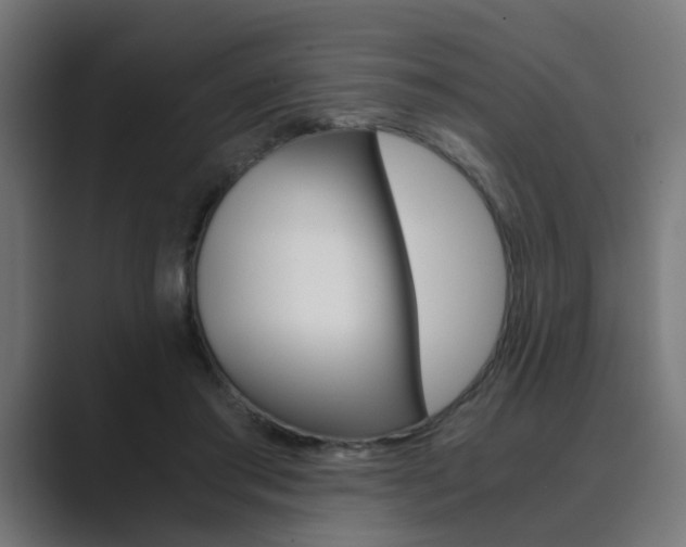 X0000089970405200706291108