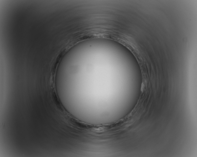 X0000089970411200706291108