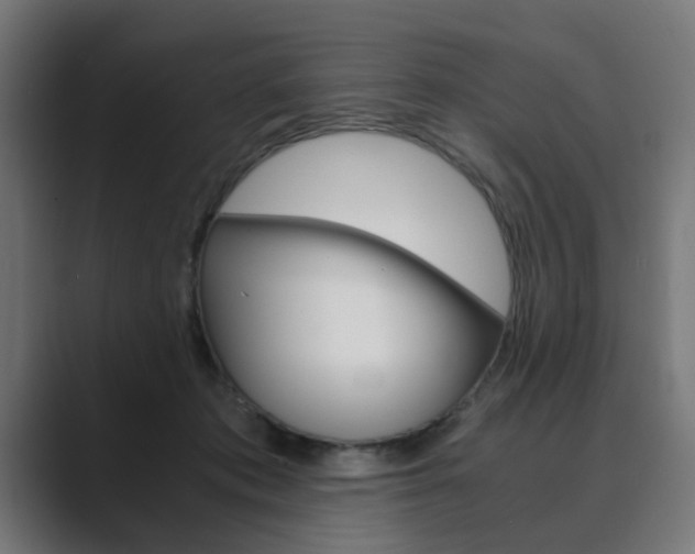 X0000089970413200706291108