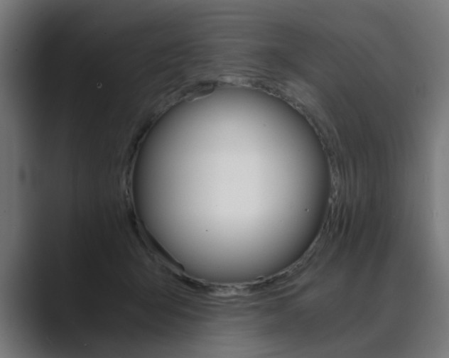 X0000089970415200706291108