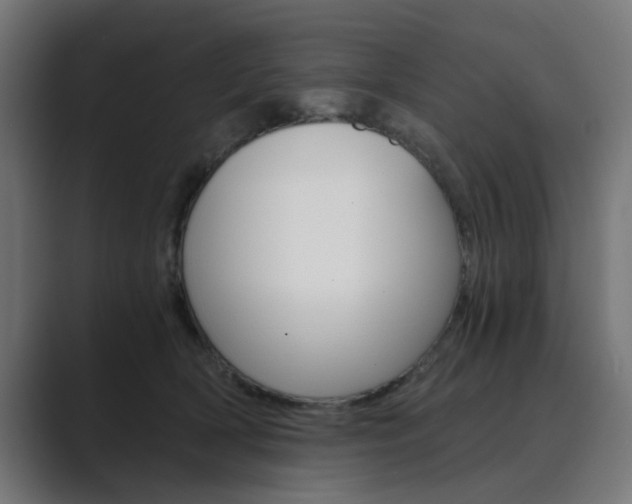 X0000089970418200706291108